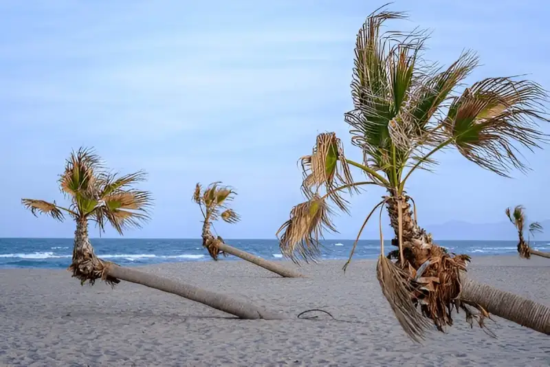 Taxi Le Barcarès — Ideal Transport