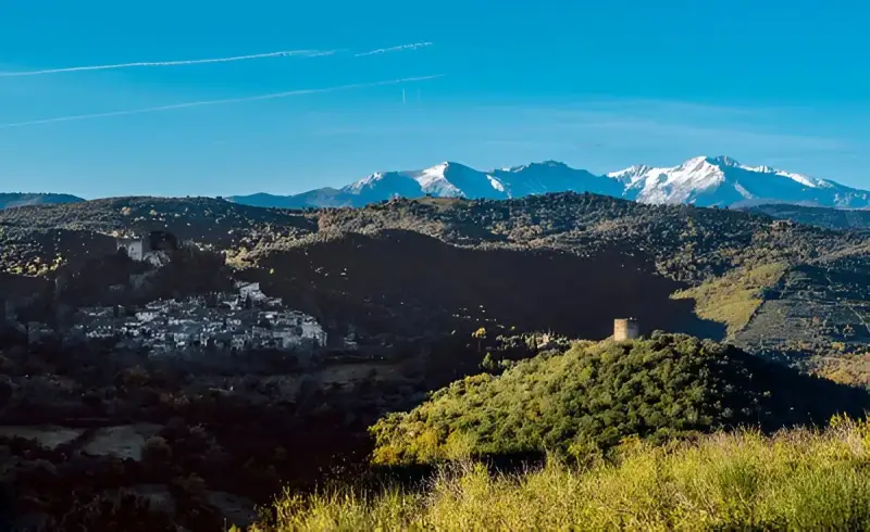 Taxi Thuir — Ideal Transport